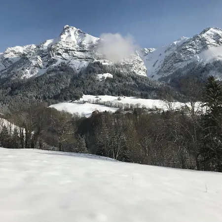 Superbe T3 Neuf En Bord De Riviere Pres D'annecy Montmin